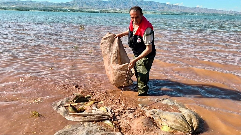 Keban baraj gölü'nde 700 kilogram canlı sazan balığı kurtarıldı