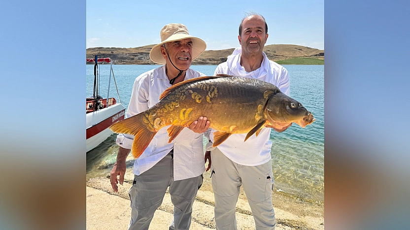 Keban Baraj Gölü'nde Dev sazan yakalandı