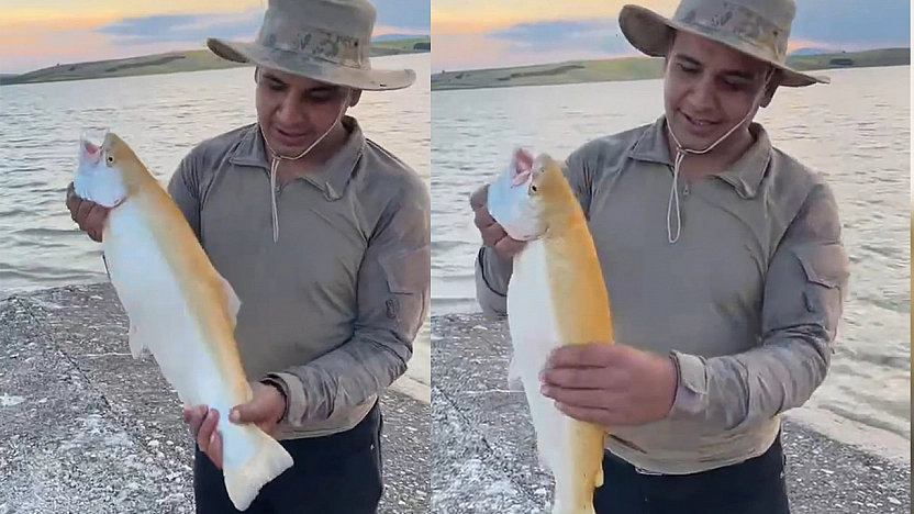 Keban Baraj Gölü'nde nadir bir av: Sarı albino alabalık yakalandı