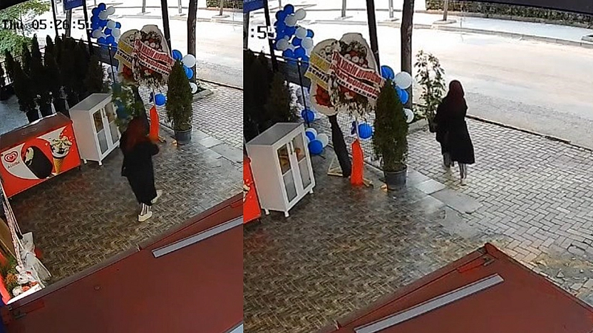 Renkli görüntülerle gri suç: Saksı hırsızlığı şaşırttı!