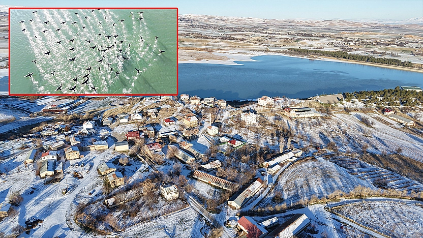 Soğuk hava Cip Barajı'nda yaban hayatını görsel şölene dönüştürdü