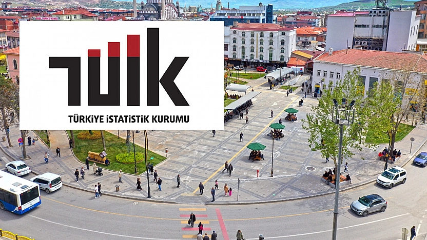 TÜİK Elazığ'da Kütüphane Sayısını açıkladı