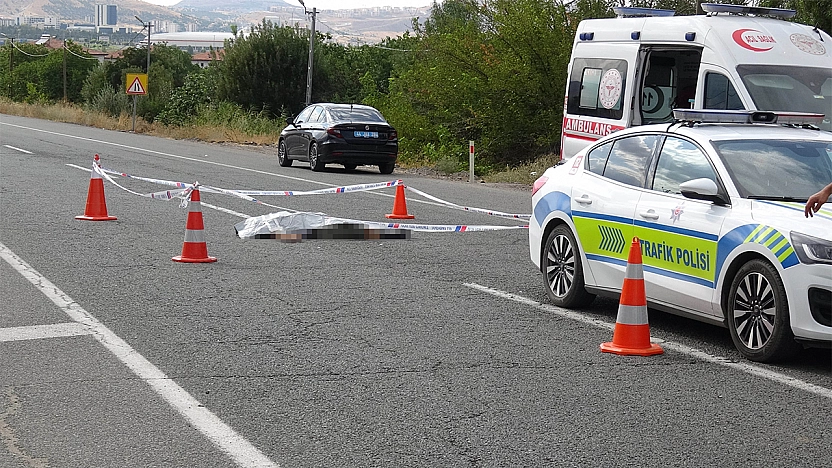 Tuvalet ihtiyacı için aracından indi, canından oldu