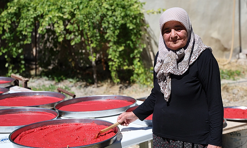 Ağın'da kış hazırlığı: domates salçası tepsilerde güneşte olgunlaşıyor