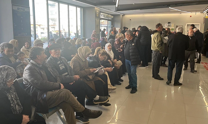 Aksa'nın kuyruk çilesi