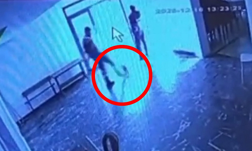 Alacakaya'da kediyi tekmeleyen personel sosyal medyanın tepkisini çekti