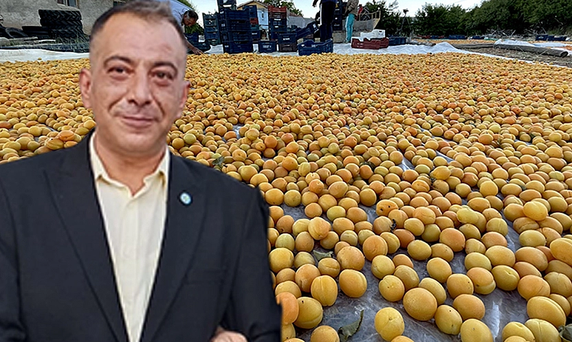 Başkan Arslan: Baskil Kayısısı yok sayılıyor, 'Utanç verici'