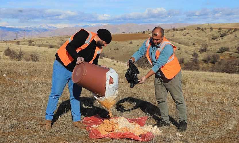 Elazığ Belediyesi doğaya yem bıraktı