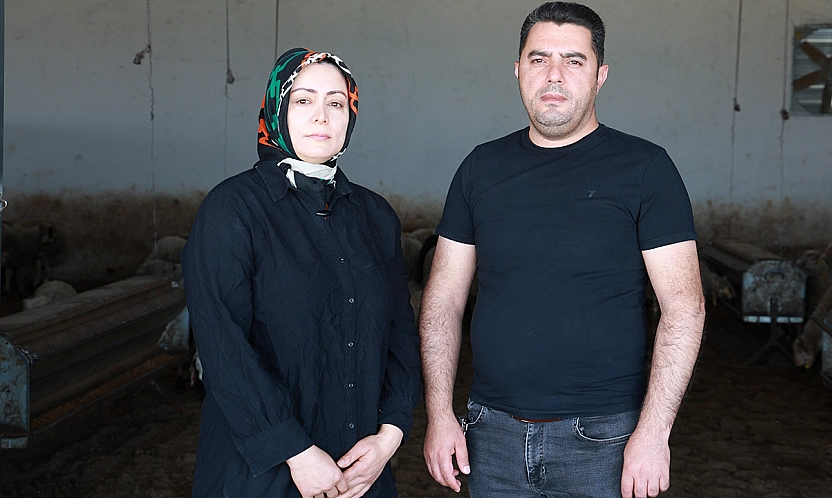 Elazığ'da 3 Çocuk Anneden Örnek Girişim: Devlet Desteğiyle Kurulan Küçükbaş Çiftliği