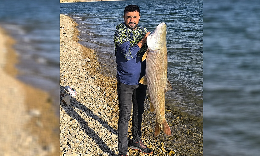 Elazığ'da 30 kiloluk dev turna balığı yakalandı
