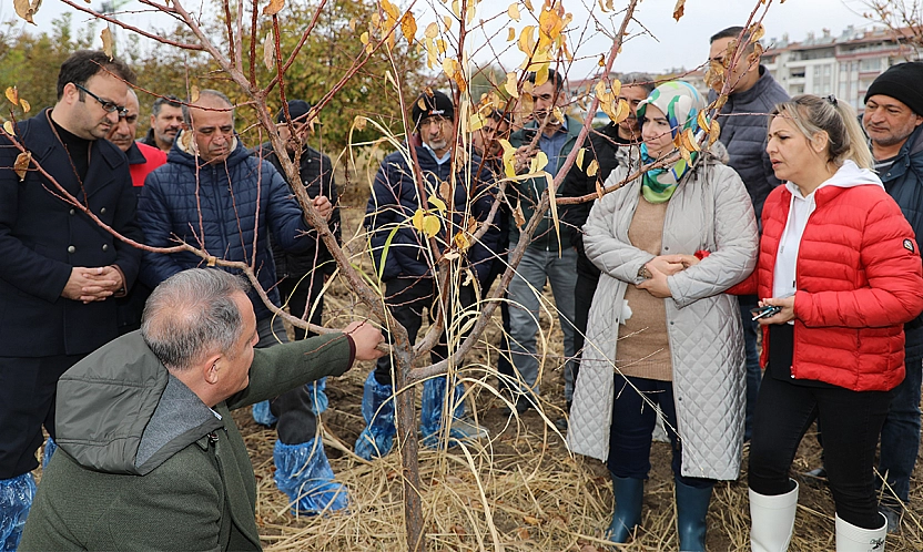Elazığ'da ağaç budama ve aşılama eğitimi