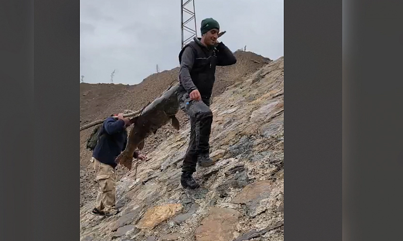 Elazığ'da amatör balıkçıların taşıma yöntemi ilgi çekti