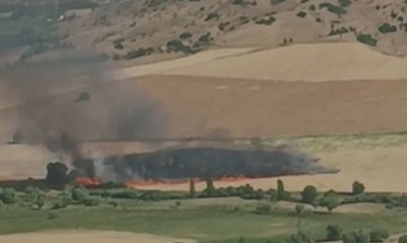 Elazığ'da arazi yangını!