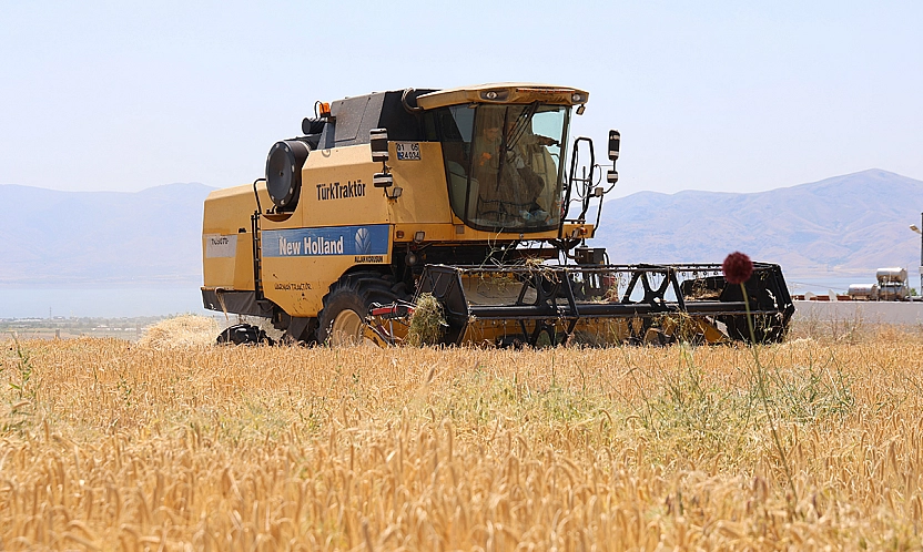 Elazığ'da arpa hasadı başladı ama çiftçi memnun değil