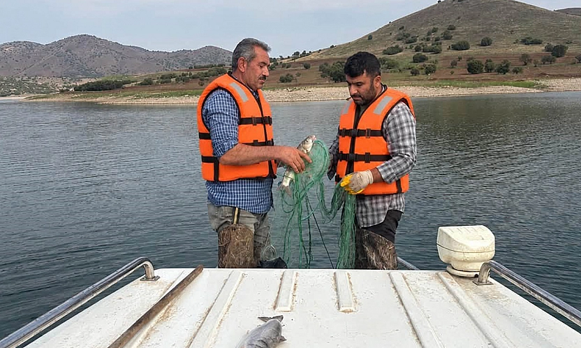 Elazığ'da baraj göllerinde istilacı türler inceleniyor