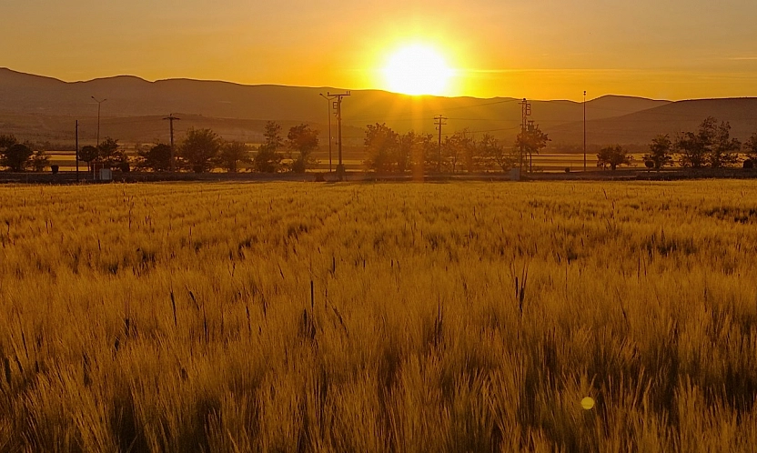 Elazığ'da bugün hava durumu (21 Ocak 2026)
