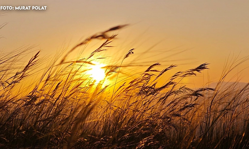 Elazığ'da bugün hava nasıl olacak? (06.11.2025)