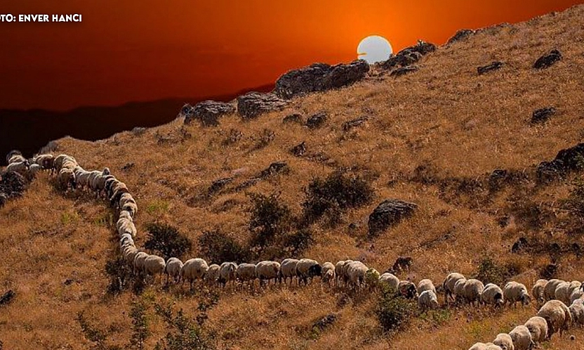 Elazığ'da bugün hava nasıl olacak? (18.11.2025)