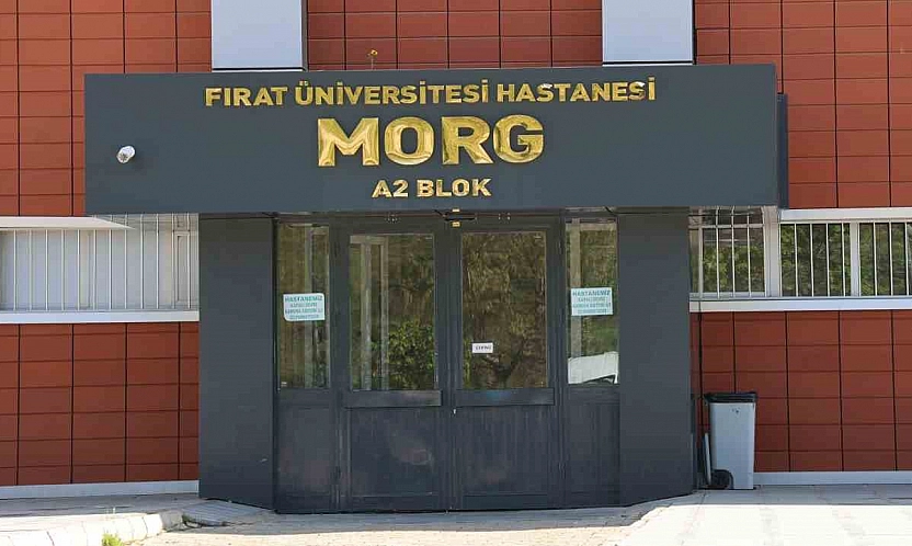 Elazığ'da çöp arabasının çarptığı belediye işçisi hayatını kaybetti