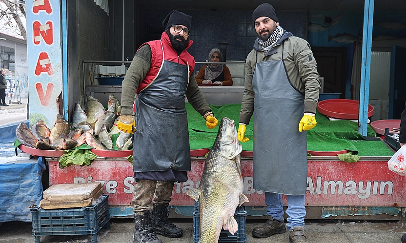 Elazığ'da dev turna balığı tezgahta yerini aldı
