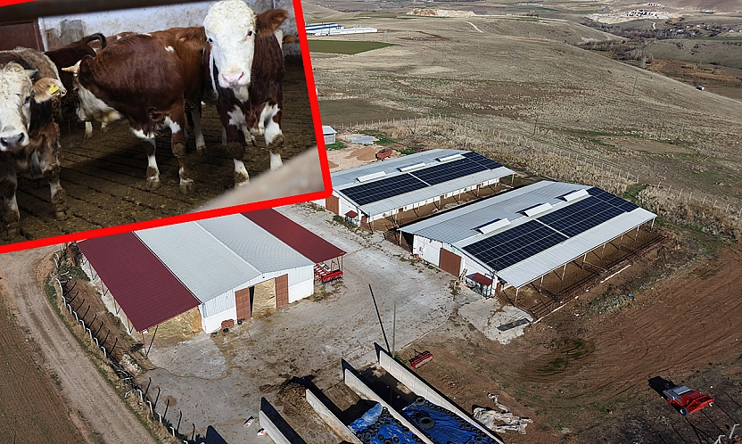 Elazığ'da devlet desteğiyle hayaller gerçeğe dönüştü