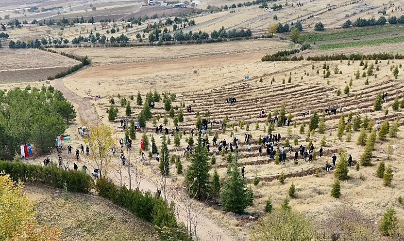 Elazığ'da Doğu Türkistan ve Filistin için anlamlı fidan dikimi