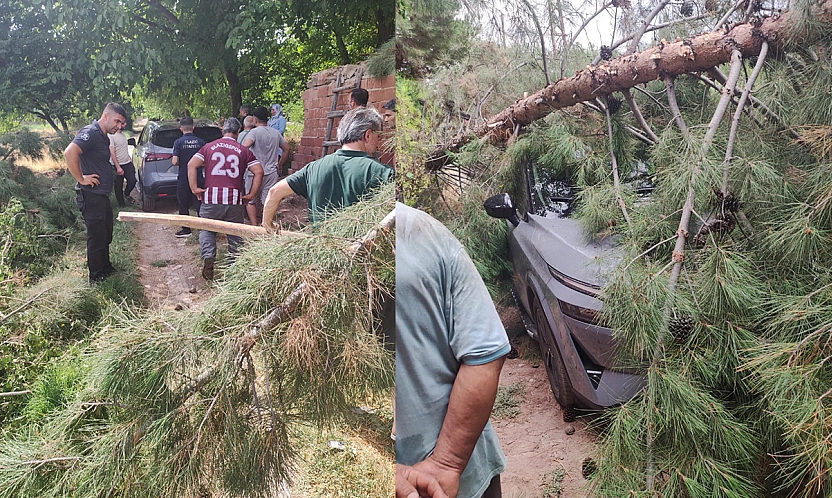 Elazığ'da faciaya ramak kaldı