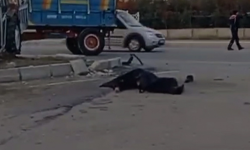 Elazığ'da feci kaza: 1 ölü