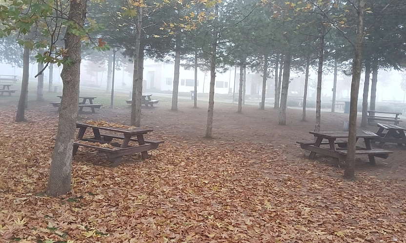 Elazığ'da göz gözü görmedi!