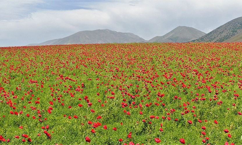 Elazığ'da hava bugün nasıl olacak? (05.08.2026)