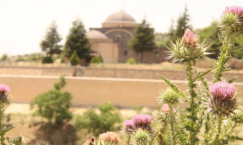 Elazığ'da hava bugün nasıl olacak? (15.08.2026)