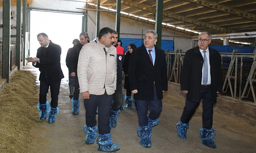 Elazığ'da hayvancılık altyapısı yerinde incelendi