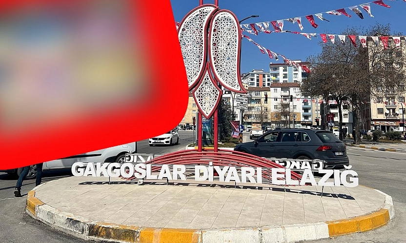 Elazığ'da hem gençlerin hem de annelerin yeni hobisi