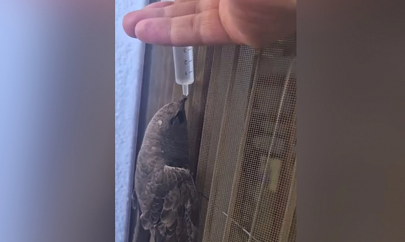 Elazığ'da iç ısıtan görüntü