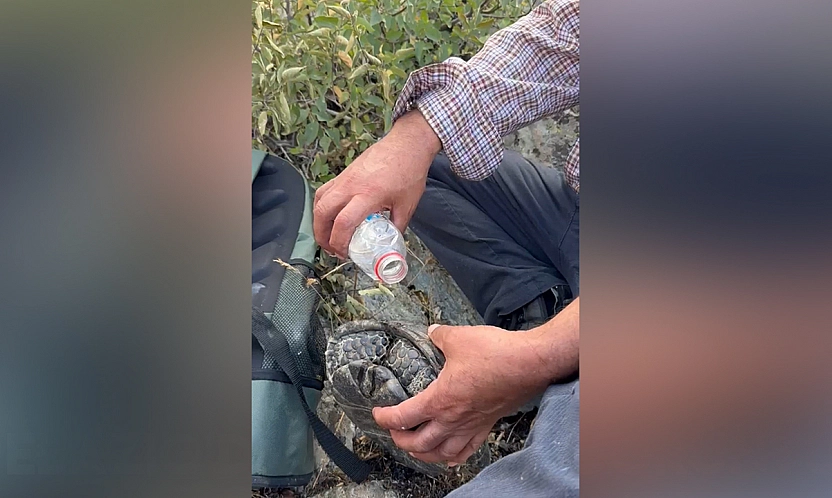Elazığ'da iç ısıtan görüntü