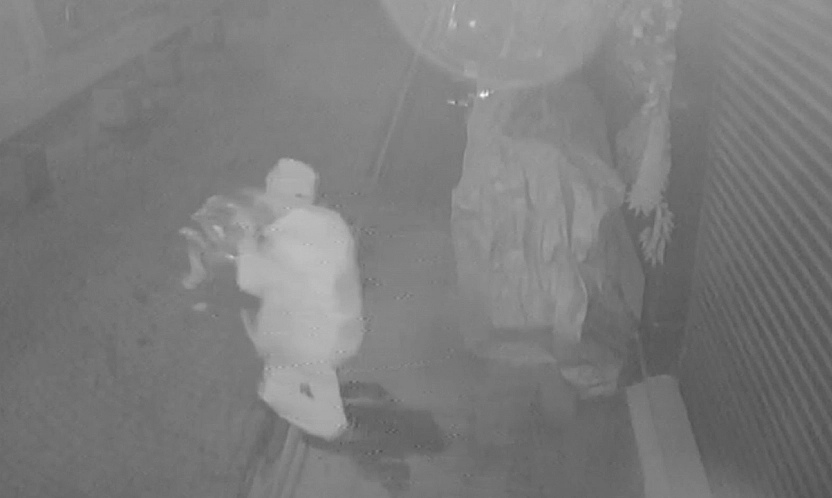 Elazığ'da ilginç hırsızlık! Poşete sığmayınca elinde taşıdı