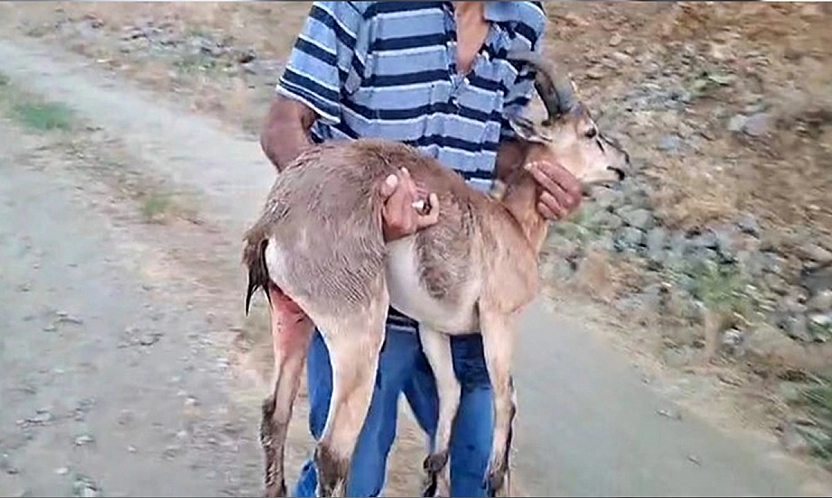 Elazığ'da insanlık ölmemiş dedirten davranış
