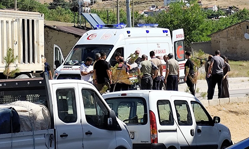 Elazığ'da kamyon kadına çarptı