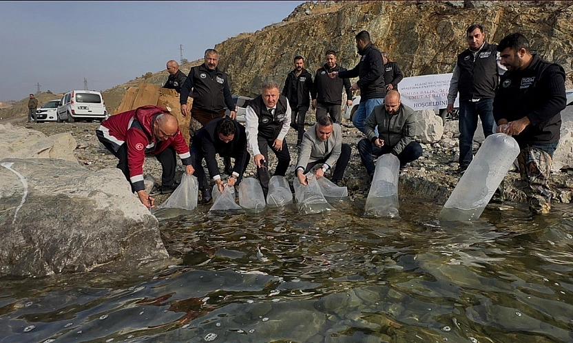 Elazığ'da Karakaya Baraj Gölü'ne 420 bin yavru balık bırakıldı