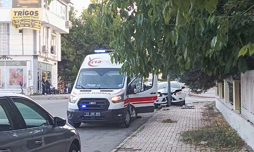 Elazığ'da kaza: Otomobil direğe çarptı