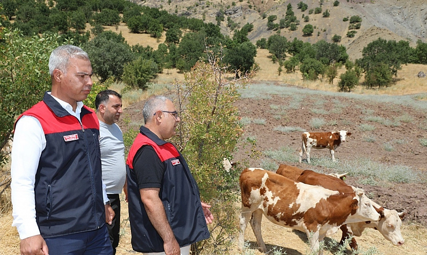 Elazığ'da kırsalda bereket projesi üreticilere destek oluyor