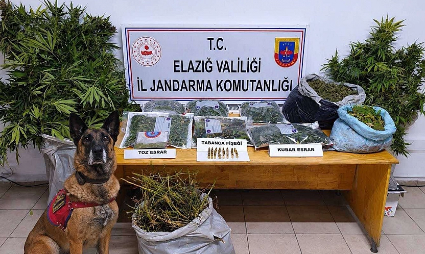 Elazığ'da köydeki kenevir tarlasına jandarma baskını: 3 tutuklama