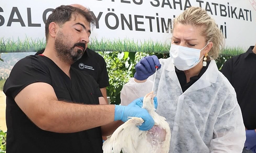 Elazığ'da Kuş Gribine karşı gerçek boyutlu saha tatbikatı