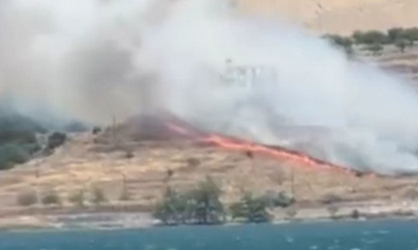 Elazığ'da orman yangını