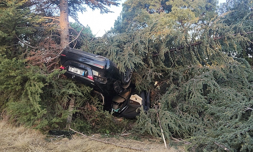 Elazığ'da otomobil ağaca çarptı: 1 yaralı