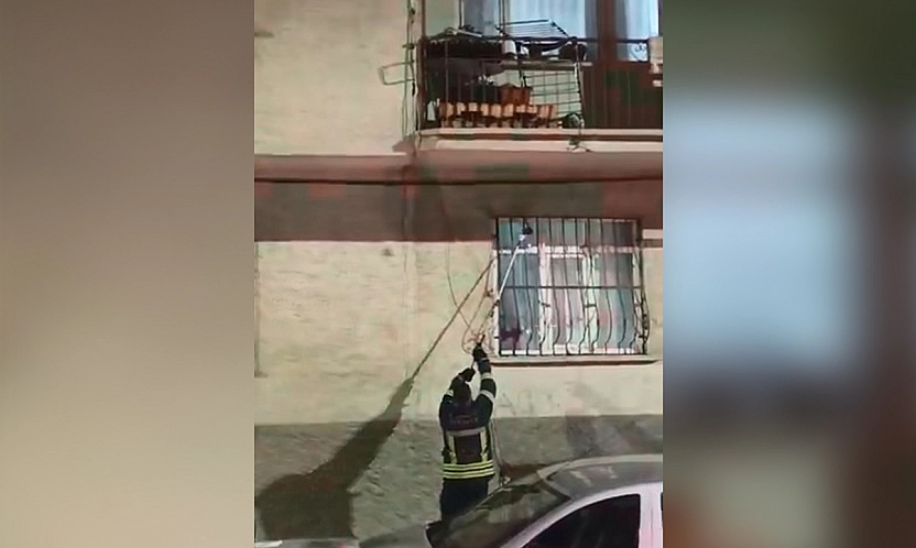 Elazığ'da pencere korkuluğuna yılan çıktı