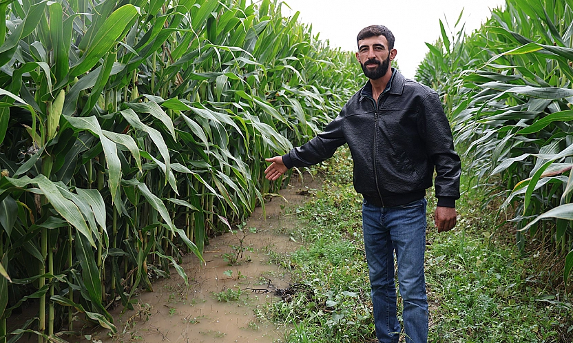 Elazığ'da sel suları 300 dönümlük emeği yuttu