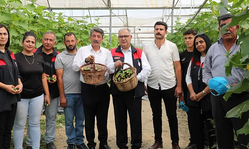 Elazığ'da seralar yenileniyor, üretim güçleniyor
