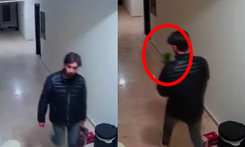 Elazığ'da sıradışı hırsızlık: Çiçek çaldı