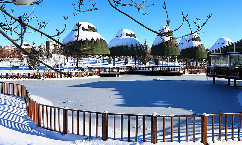 Elazığ'da soğuk hava süs havuzlarını dondurdu